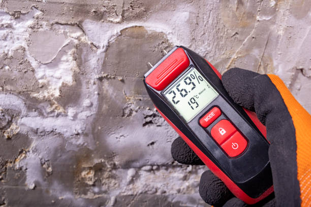 Best Certified Mold Removal  in Hazard, KY