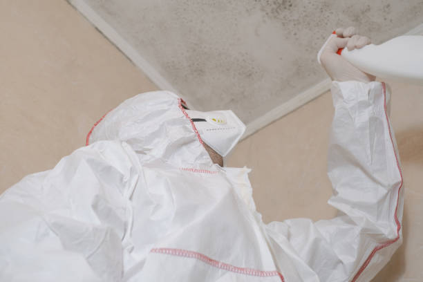Best Toxic Mold Removal  in Hazard, KY
